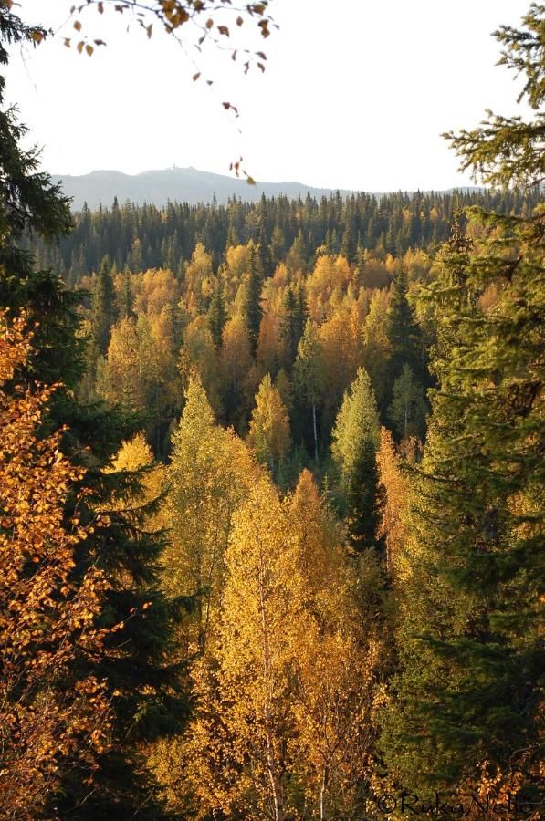 Дома для отпуска RukaNeliö Cottage Рука