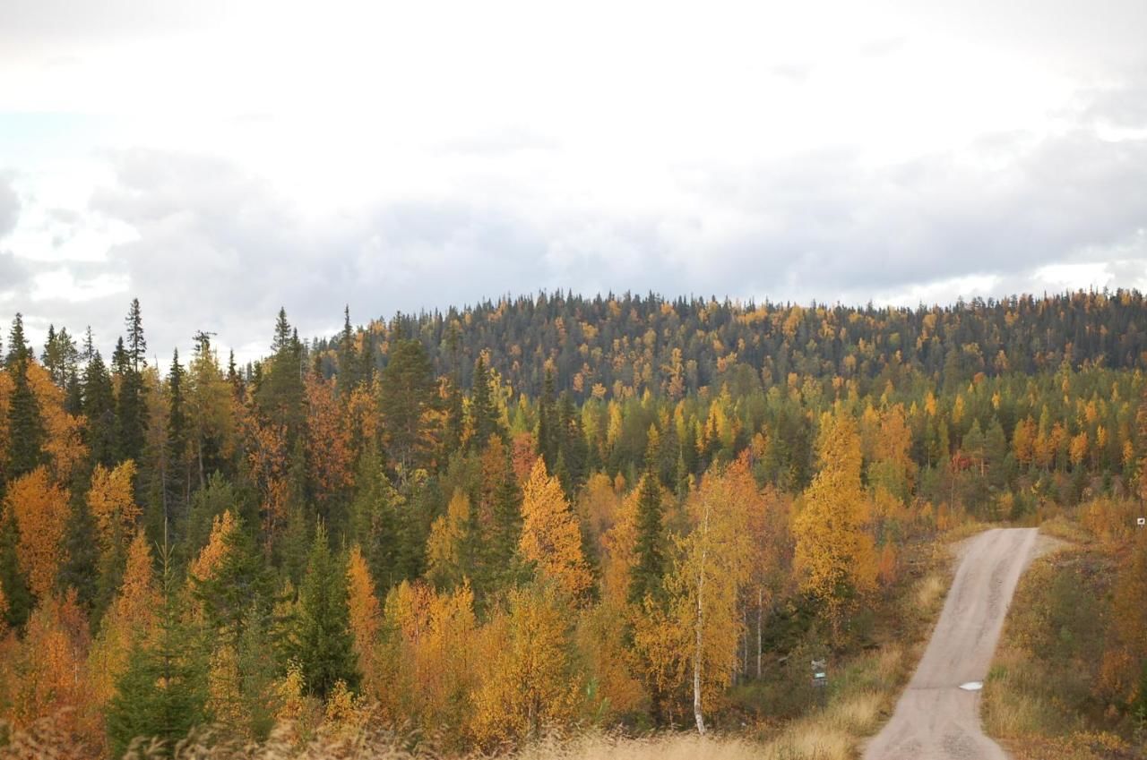 Дома для отпуска RukaNeliö Cottage Рука