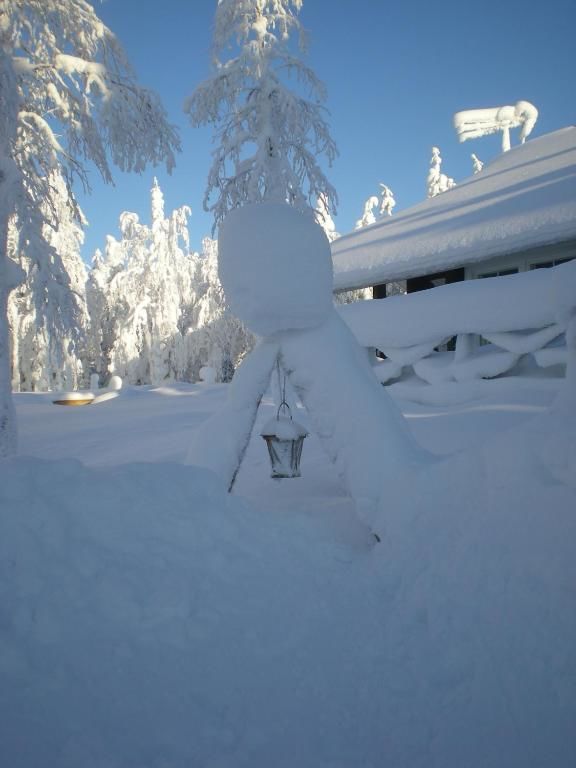 Дома для отпуска RukaNeliö Cottage Рука