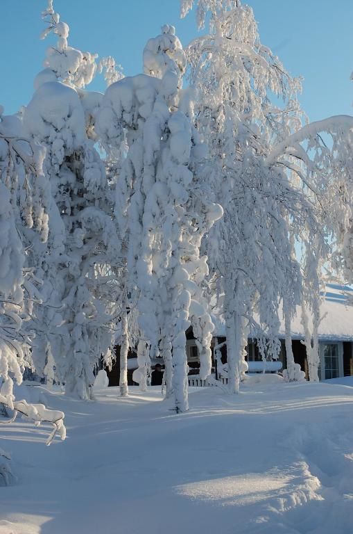 Дома для отпуска RukaNeliö Cottage Рука