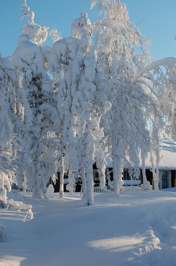Дома для отпуска RukaNeliö Cottage Рука