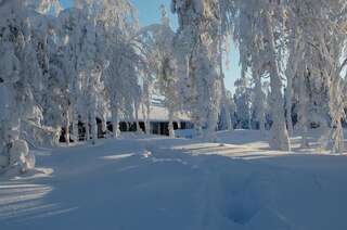 Дома для отпуска RukaNeliö Cottage Рука Коттедж с 2 спальнями и сауной-30