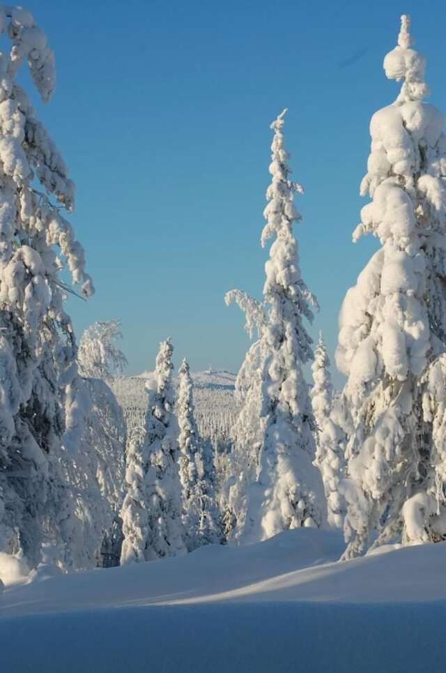 Дома для отпуска RukaNeliö Cottage Рука-27