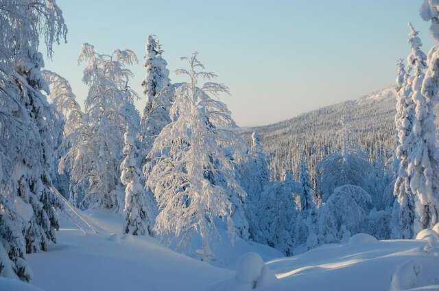 Дома для отпуска RukaNeliö Cottage Рука-53