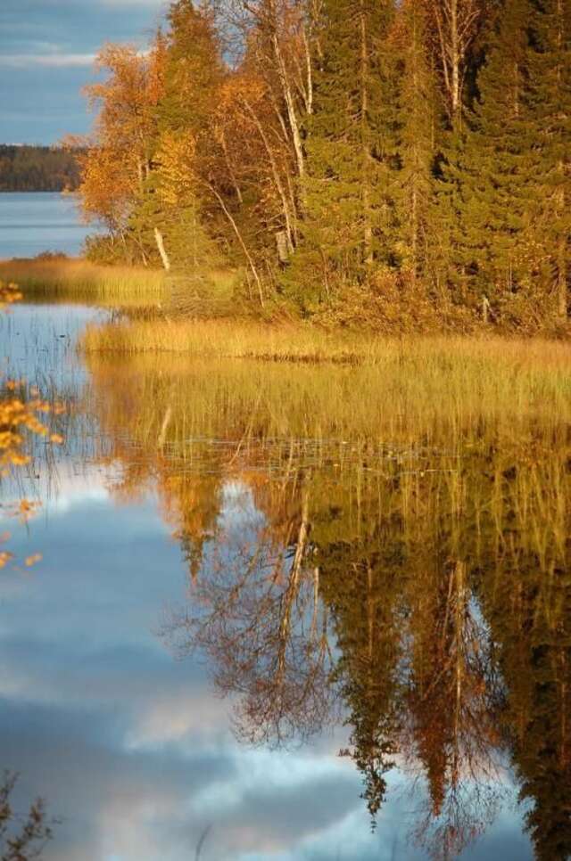 Дома для отпуска RukaNeliö Cottage Рука-56